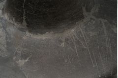 Foto von Tonschnabelkanne (NHMW-PRAE-073873)